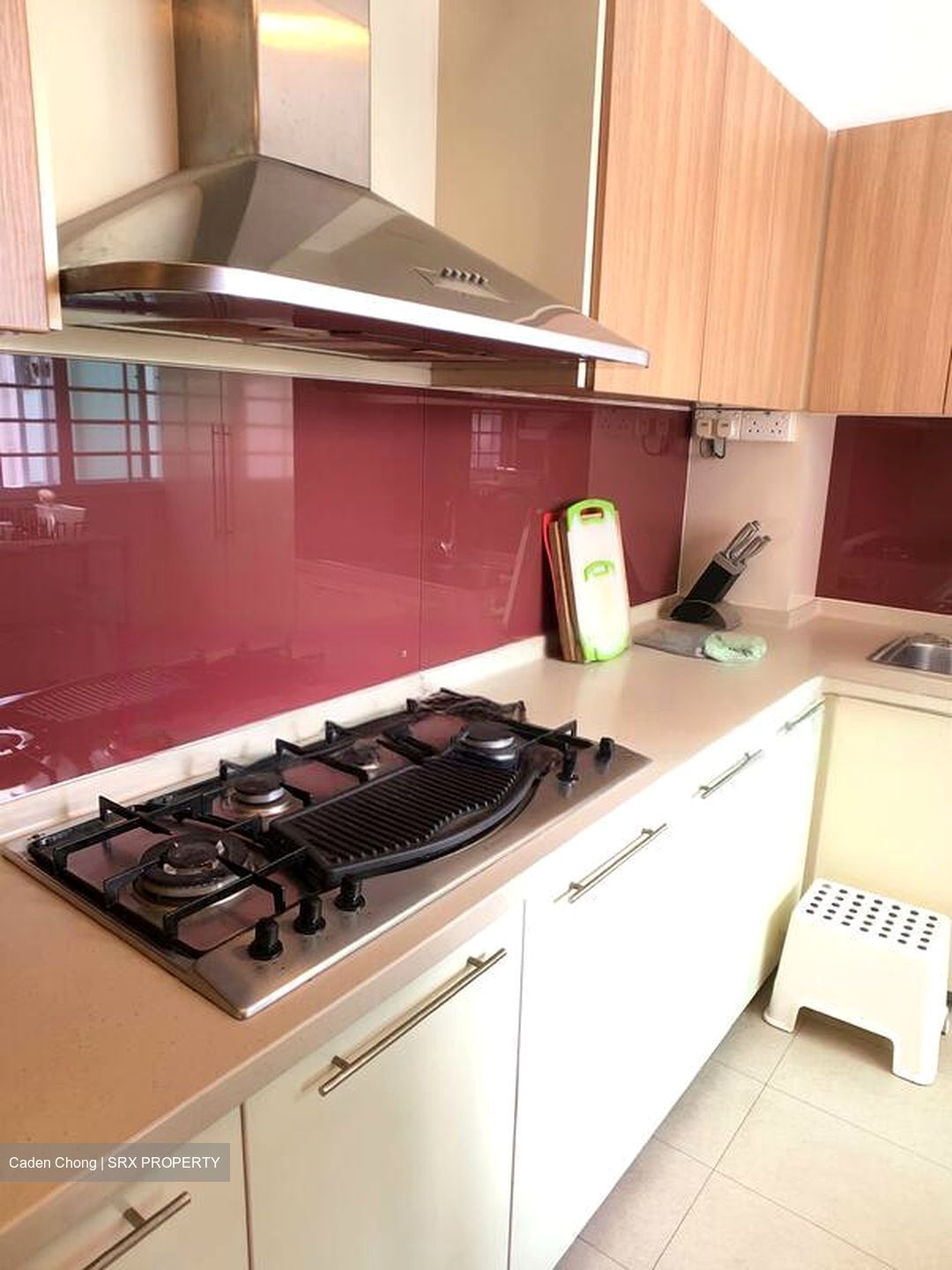 Blk 13 Saint George's East Gardens (Kallang/Whampoa), HDB 5 Rooms #458042791
